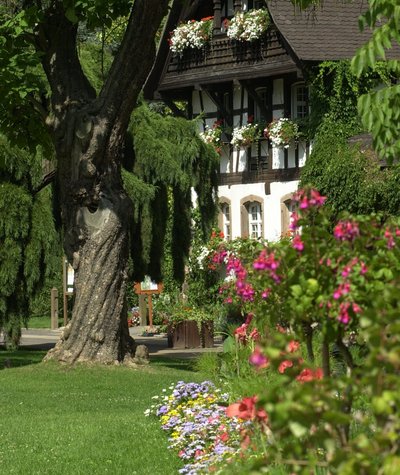 The Alsatian House in Sainte-Marie park